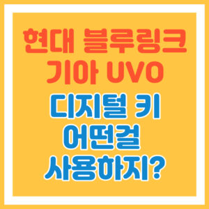 블루링크와 유보
