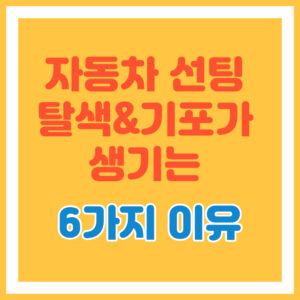 자동차 선팅 왜 변형이 되나요?