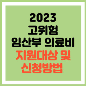 고위험 임산부 의료비 지원
